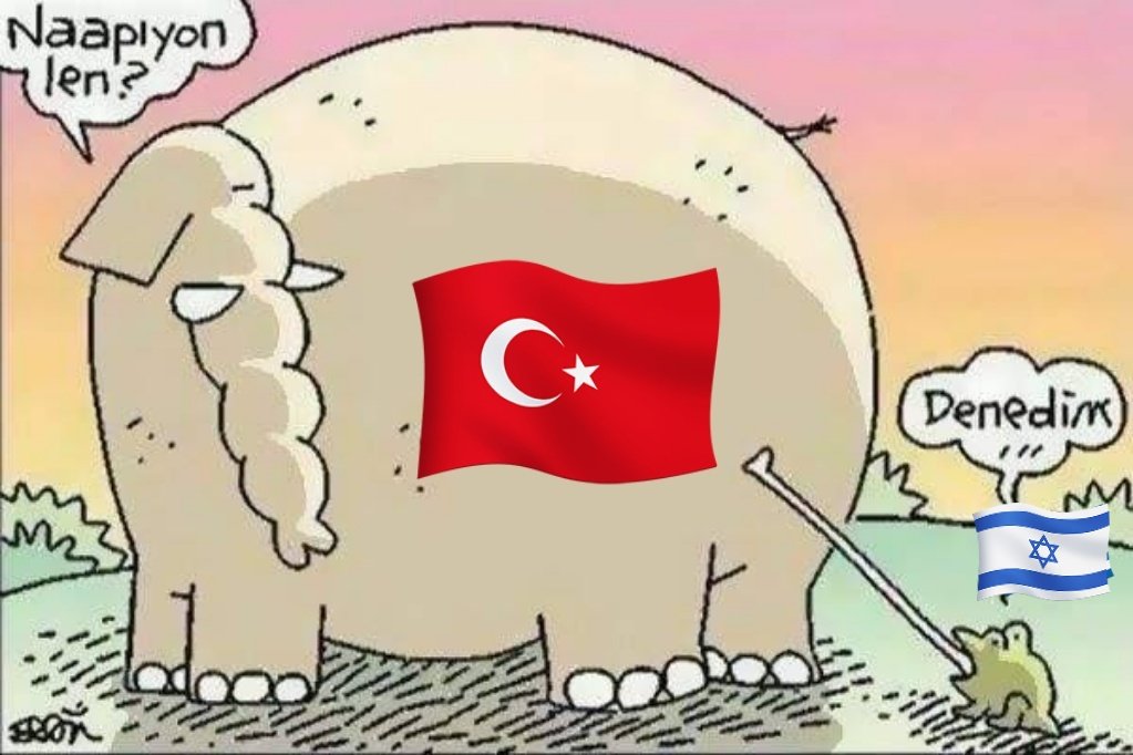 🇹🇷🦅 Fatih 🦅🇹🇷 tweet media