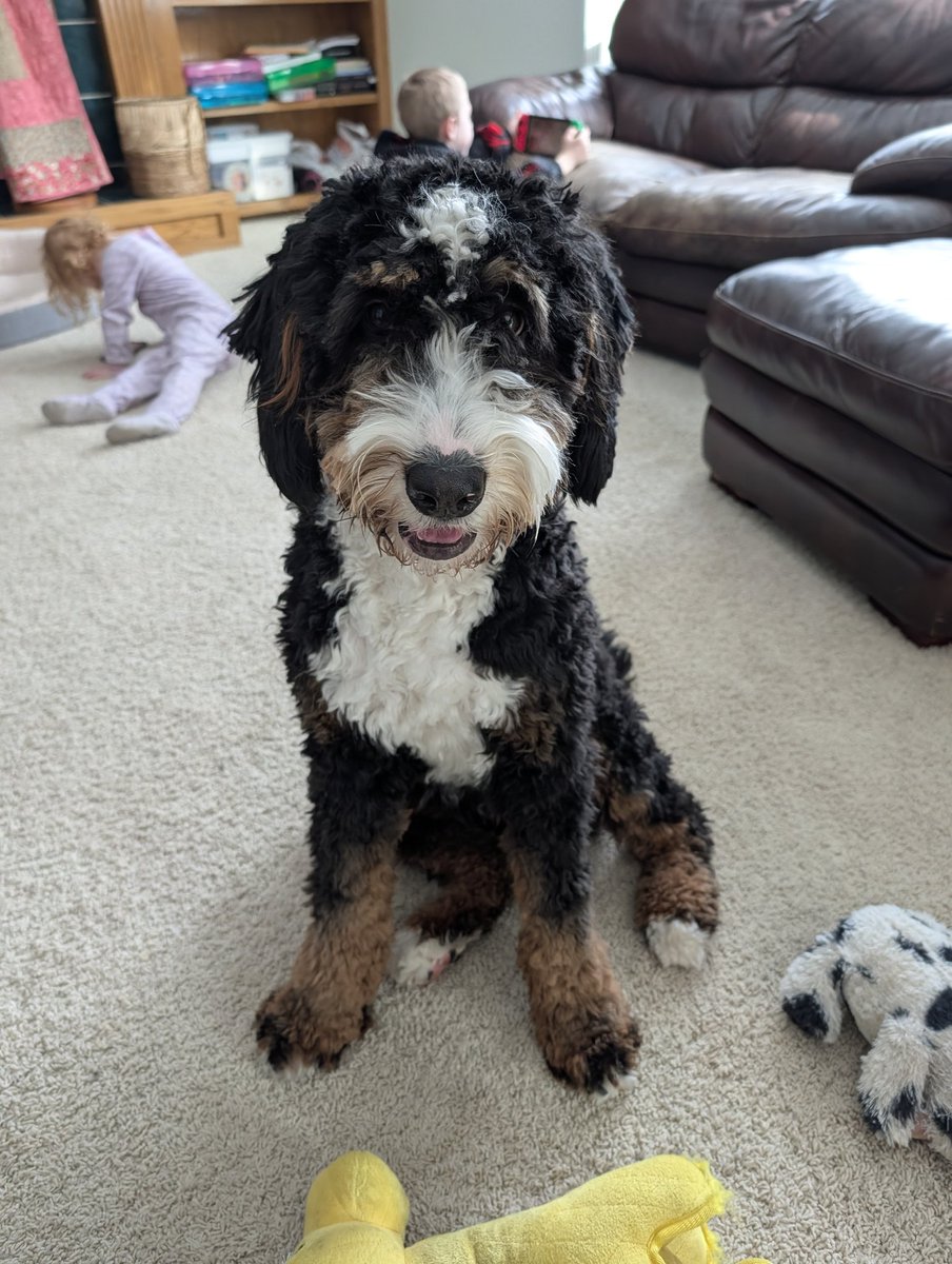 justinconroy's tweet photo. @HeatherRadio @clone832 Sadly, we also named our dog that we got in August, Rocco. https://t.co/evj2jQUsU9