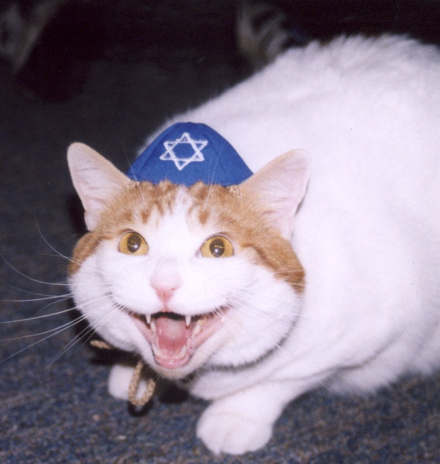 Scribbles tweet media