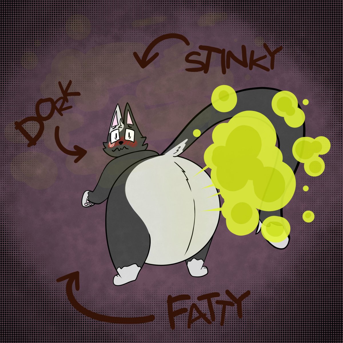 Apollo :3 tweet media