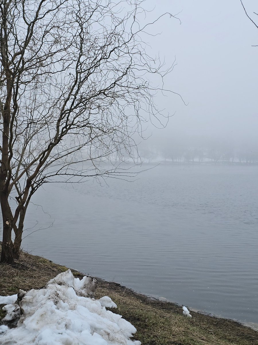 1 Martie, prima zi de primăvară...
Ceață...❄️🌫️