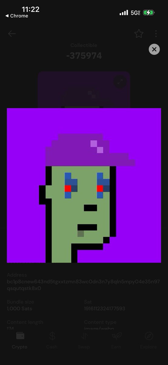 pirate_chest tweet media