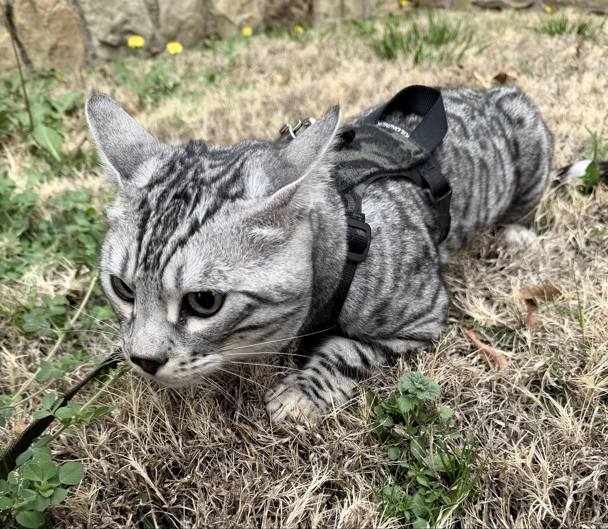 LVNDMARK tweet media