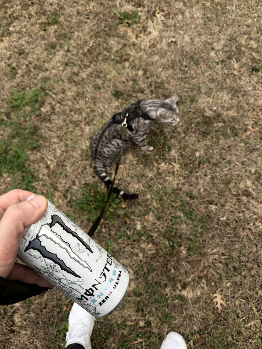 LVNDMARK tweet media