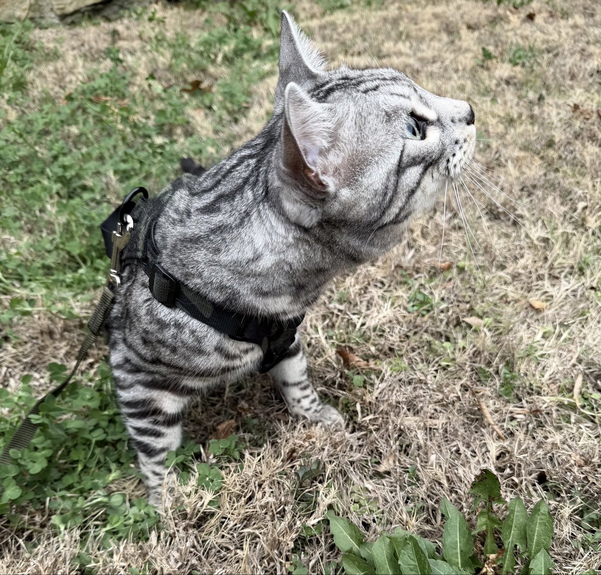 LVNDMARK tweet media