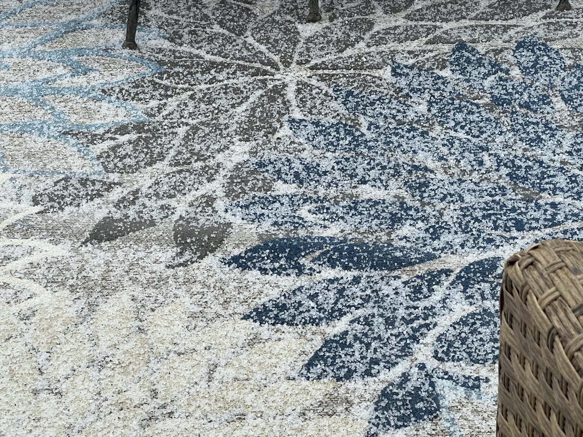 Jana Calkins tweet media