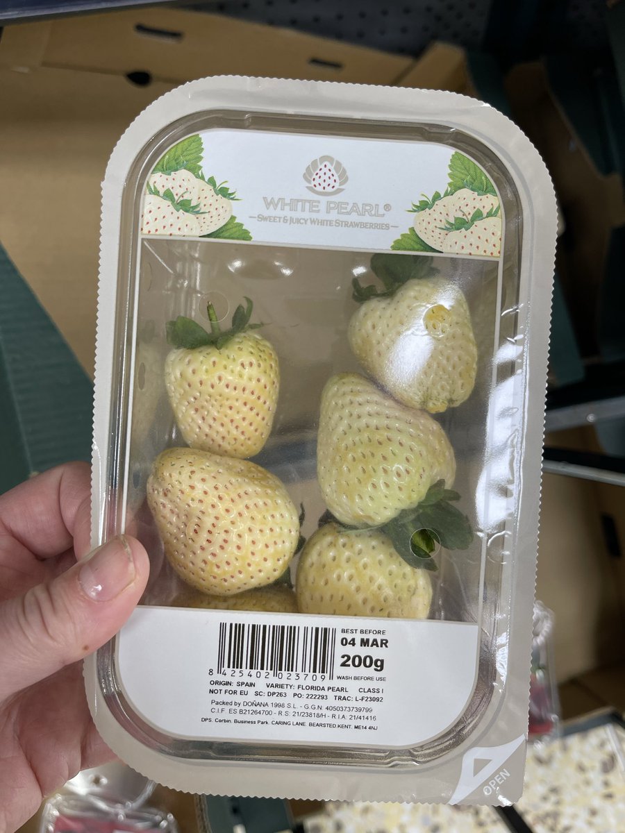 Angela Cole 📝🐾🌊🍂 tweet media