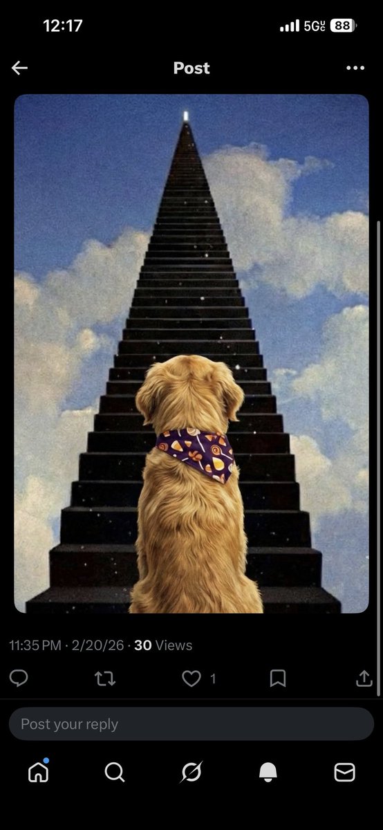 Pengu Lives tweet media