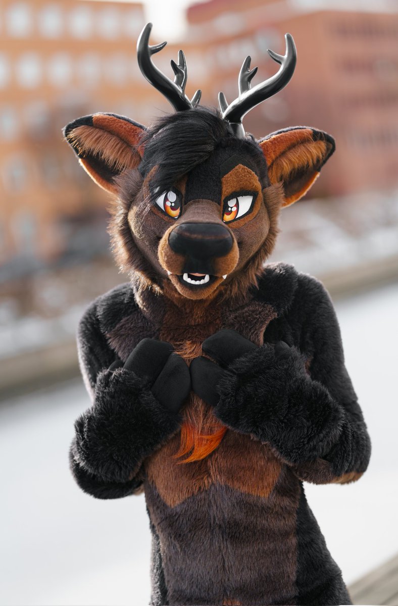 Crow Creations Fur-tography! 🔜 NFC! tweet media