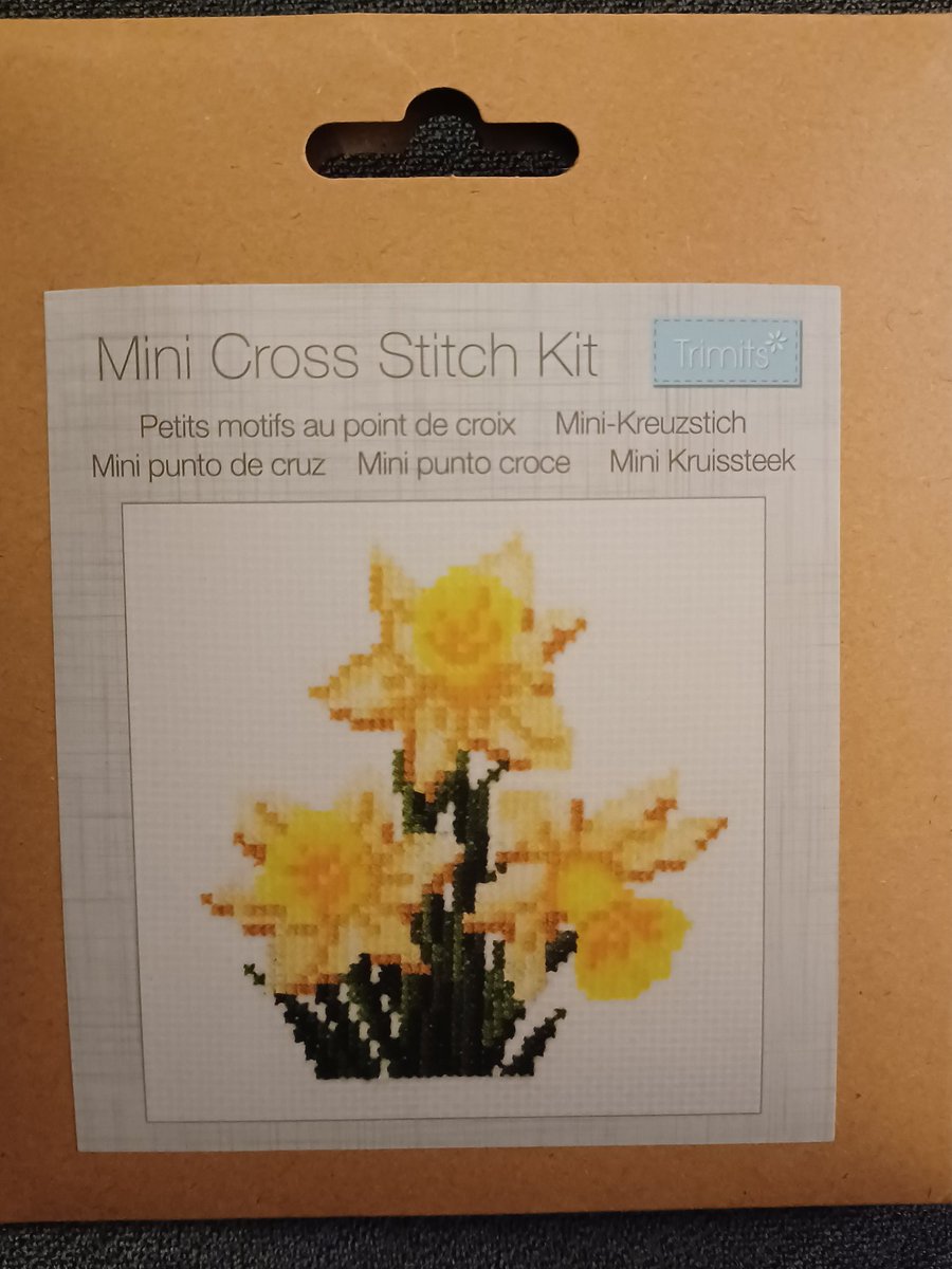 leo181711's tweet photo. Our Christmas was cancelled due to losing my Mother In Law the day before, so I didn't really pay any attention to gifts I'd received, I just put them to one side. I dug them out today & found this little cross stitch kit #HappyStDavidsDay ❤️🏴 https://t.co/DV7ulzMtDJ