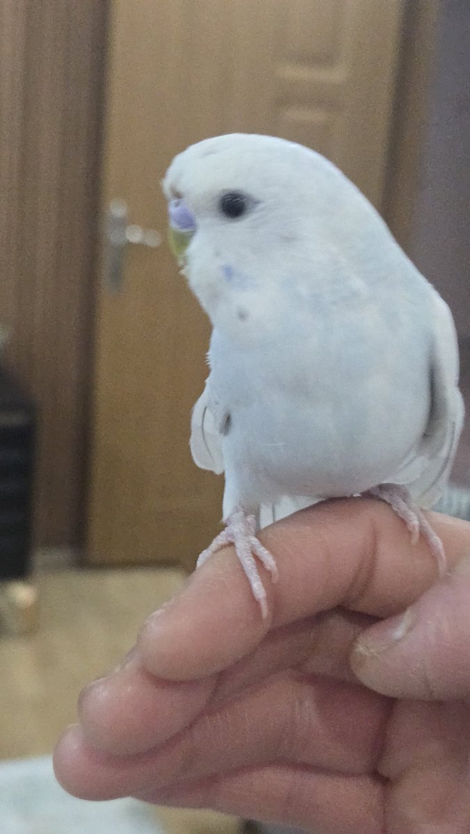 AkcuraReyhan's tweet photo. Hoşgeldin ilkbahar 🥰🧿❤️🐣
#1mart https://t.co/z5jr1NpNAZ