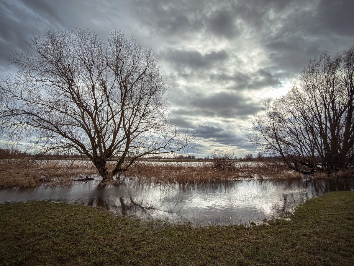 Ook hier bij #Gorinchem wat #hoogwater, al valt het nog 100% mee. Al kan het ook best zijn dat het hoogste punt al geweest is. Ik ben weken niet op deze plek geweest.