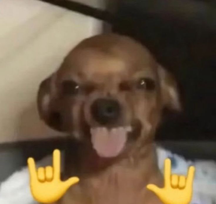 bunga (@maqaruuun) on Twitter photo 