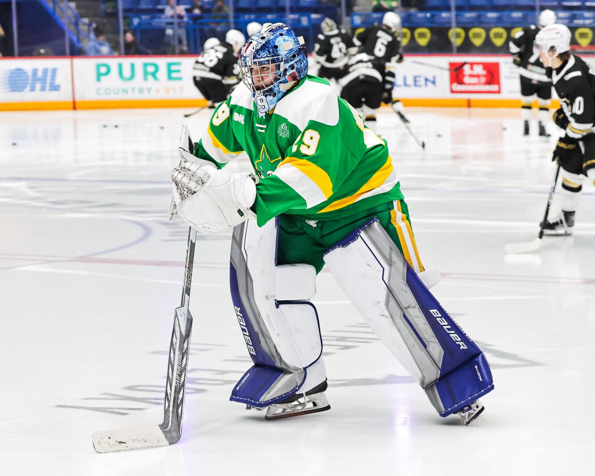 Sudbury Wolves tweet media