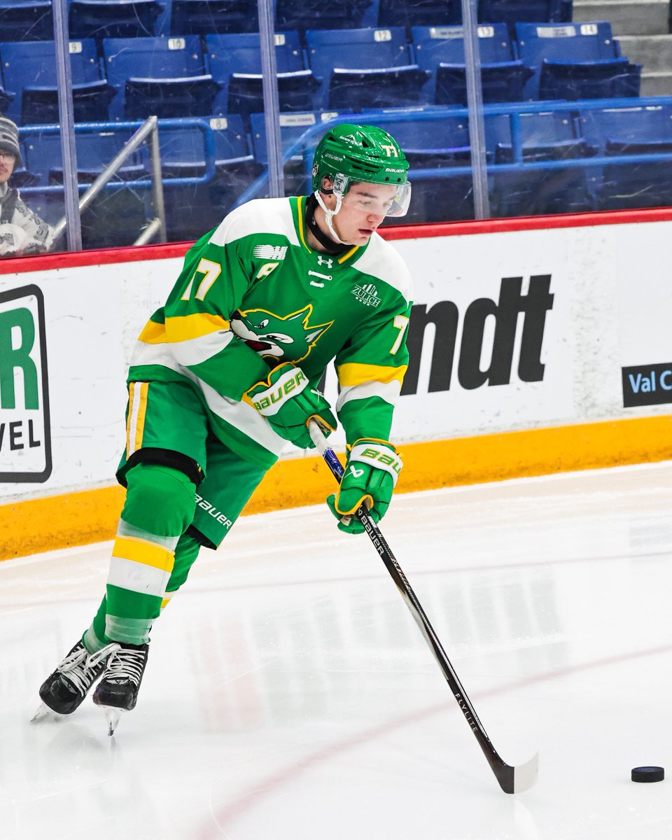 Sudbury Wolves tweet media