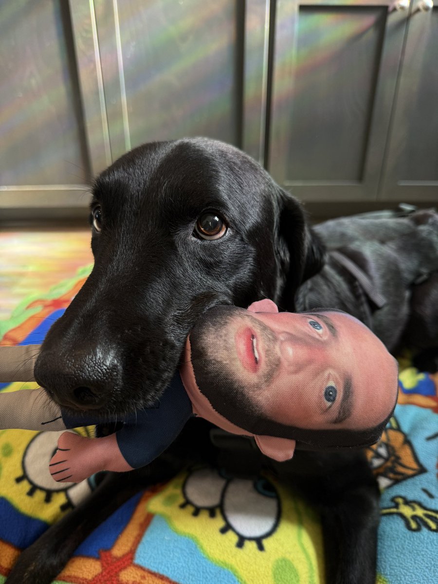 Dangerr_d tweet media