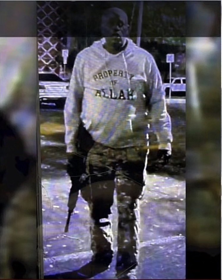 BradKat 🐯 tweet media