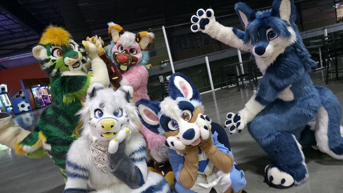 prawnzo 🐺 tweet media