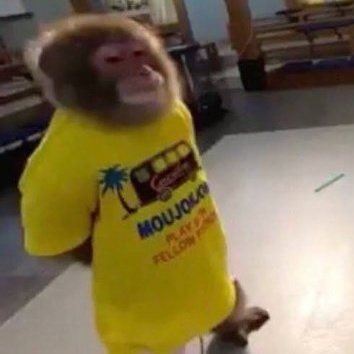 sergio_1823's tweet image. Bowling dept la Kavalaikidama iruku😐

Catching and fielding uhm worst ah iruku..lavada @BCCI Semi final la form ku vanthurunagada

#INDvENG