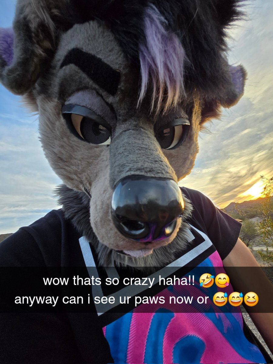 pleo 🌵 tweet media