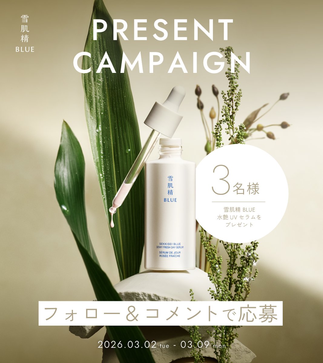 にゃんころ (@nyankoro_cosme) / Posts / X