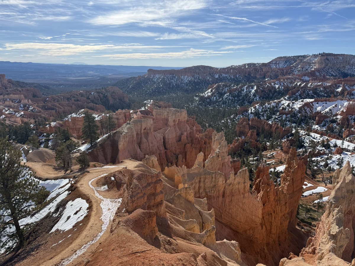 dalee^,^ tweet media