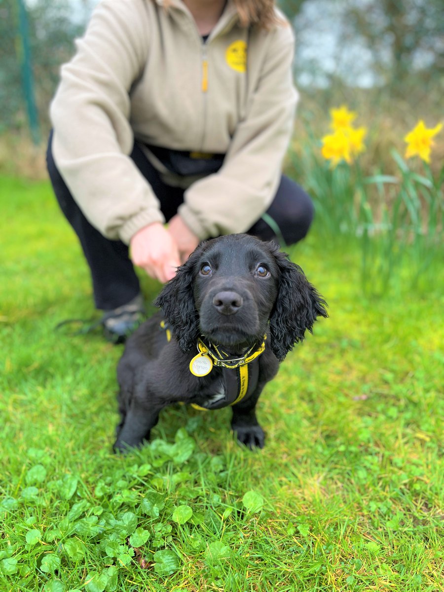 DogsTrust Bridgend tweet media