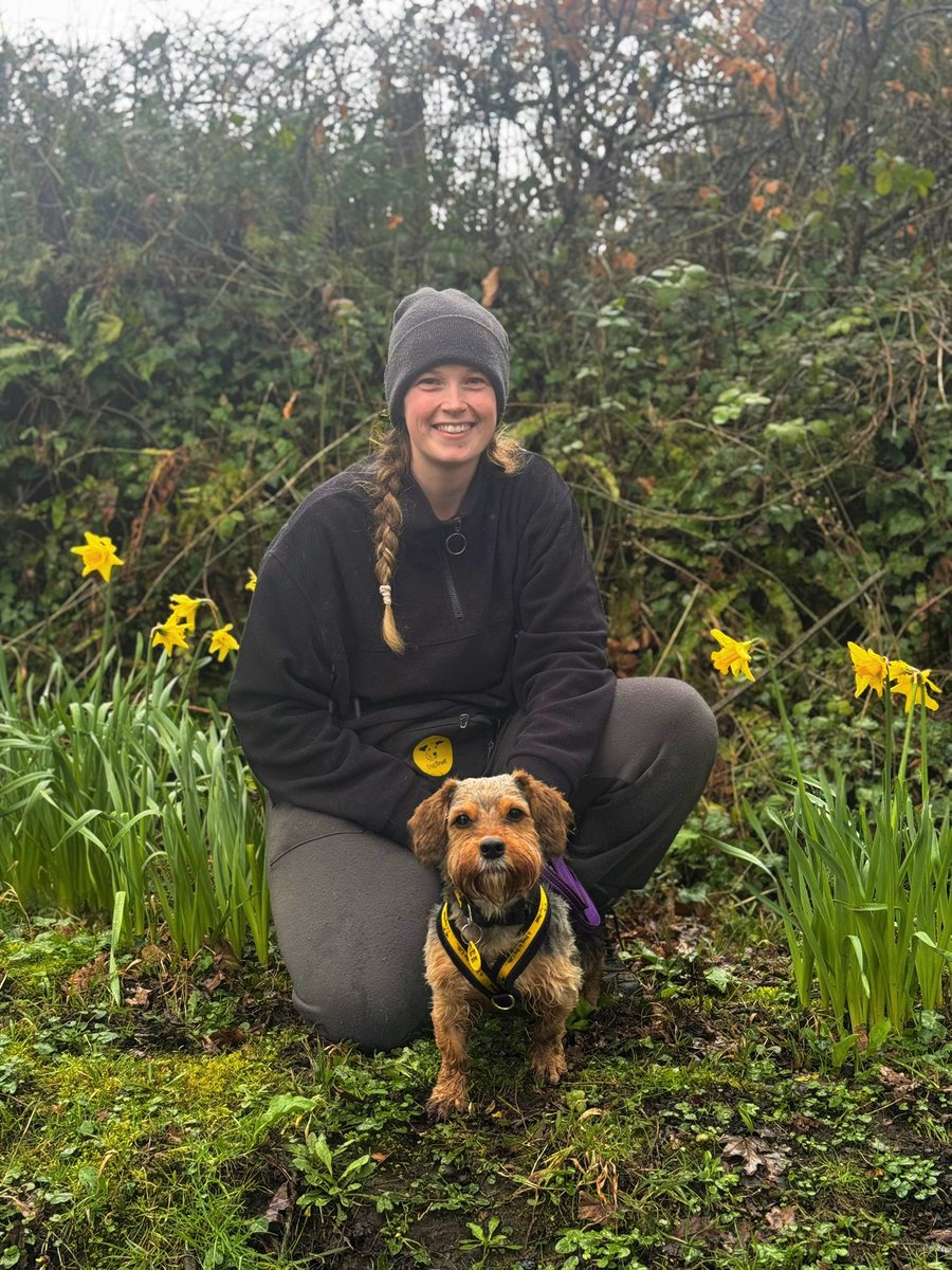 DogsTrust Bridgend tweet media