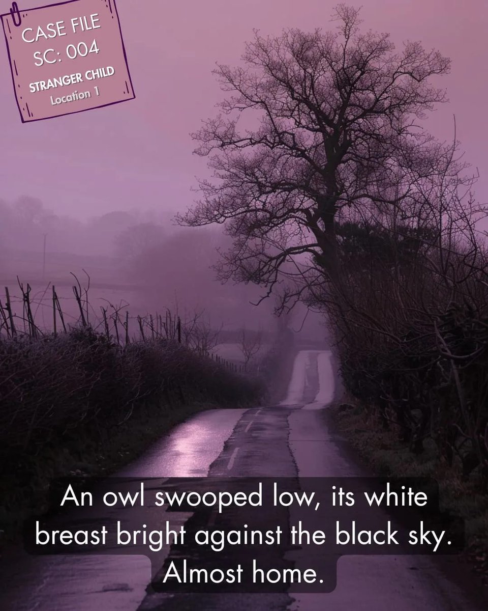 Rachel Abbott tweet media