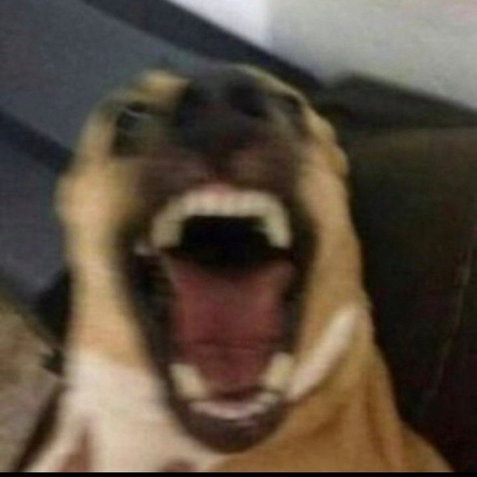 yes context gala tweet media