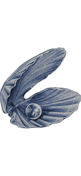 ‍ ‍ ‍ ‍‍ ‍ ‍ ‍off🫐 tweet media