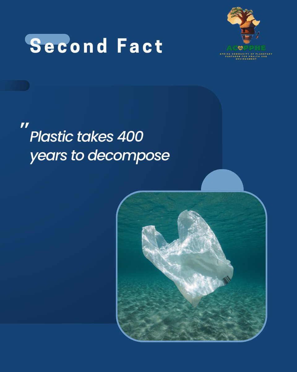 AfricaCommunity tweet media