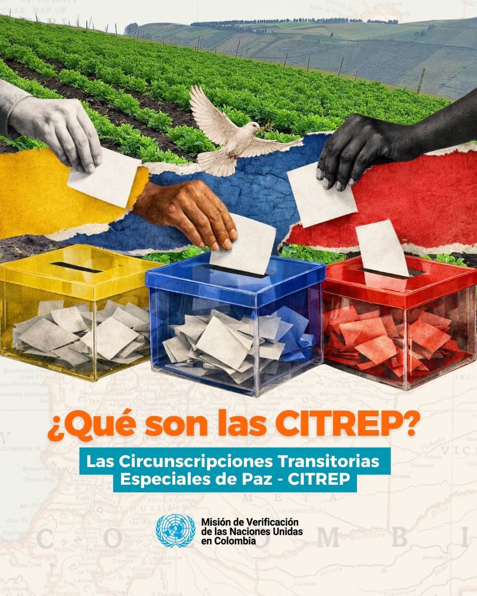 MisionONUCol's tweet photo. Las Circunscripciones Transitorias Especiales de Paz #CITREP son un mecanismo de reparación colectiva para los territorios más afectados por el conflicto armado, creado por #AcuerdoDePaz de 2016. ¿Sabes cómo funciona? @CarterCenter @moecolombia @Registraduria @CdR_ https://t.co/5G7FwPxuF8