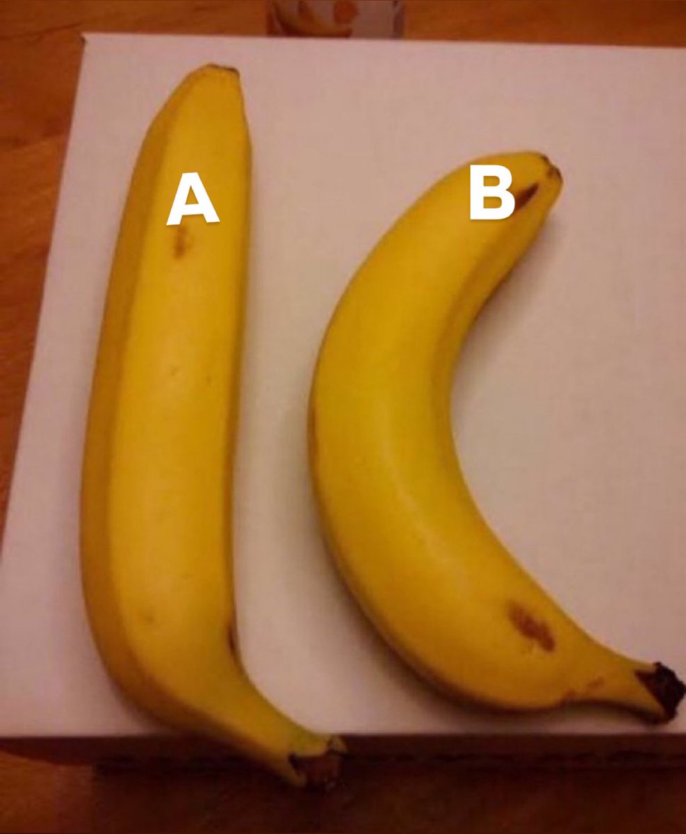 Daily dose of Gay tweet media