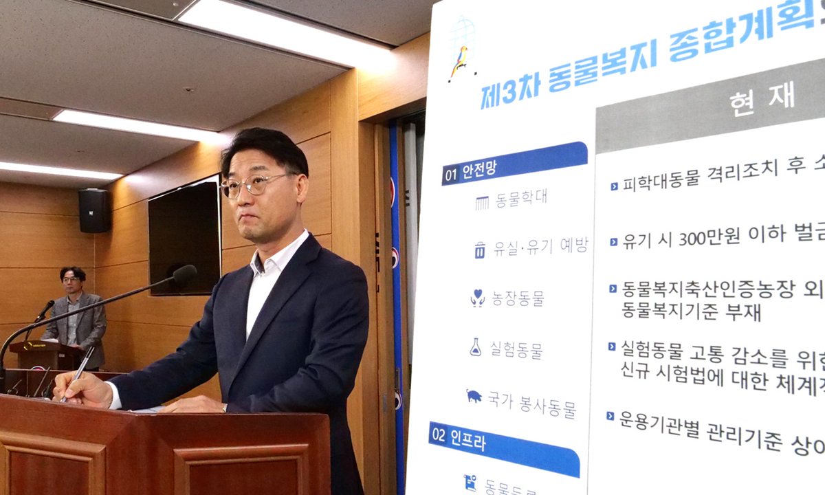 Koreandogs tweet media