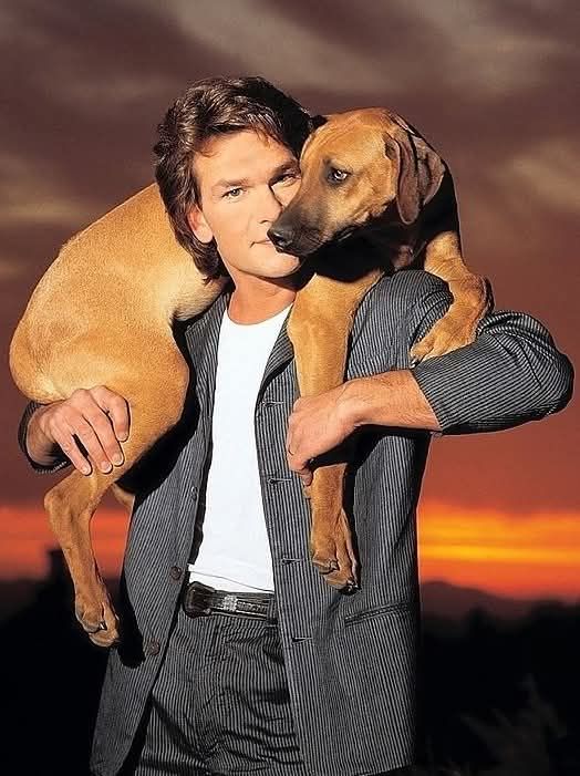 Dog Lovers tweet media