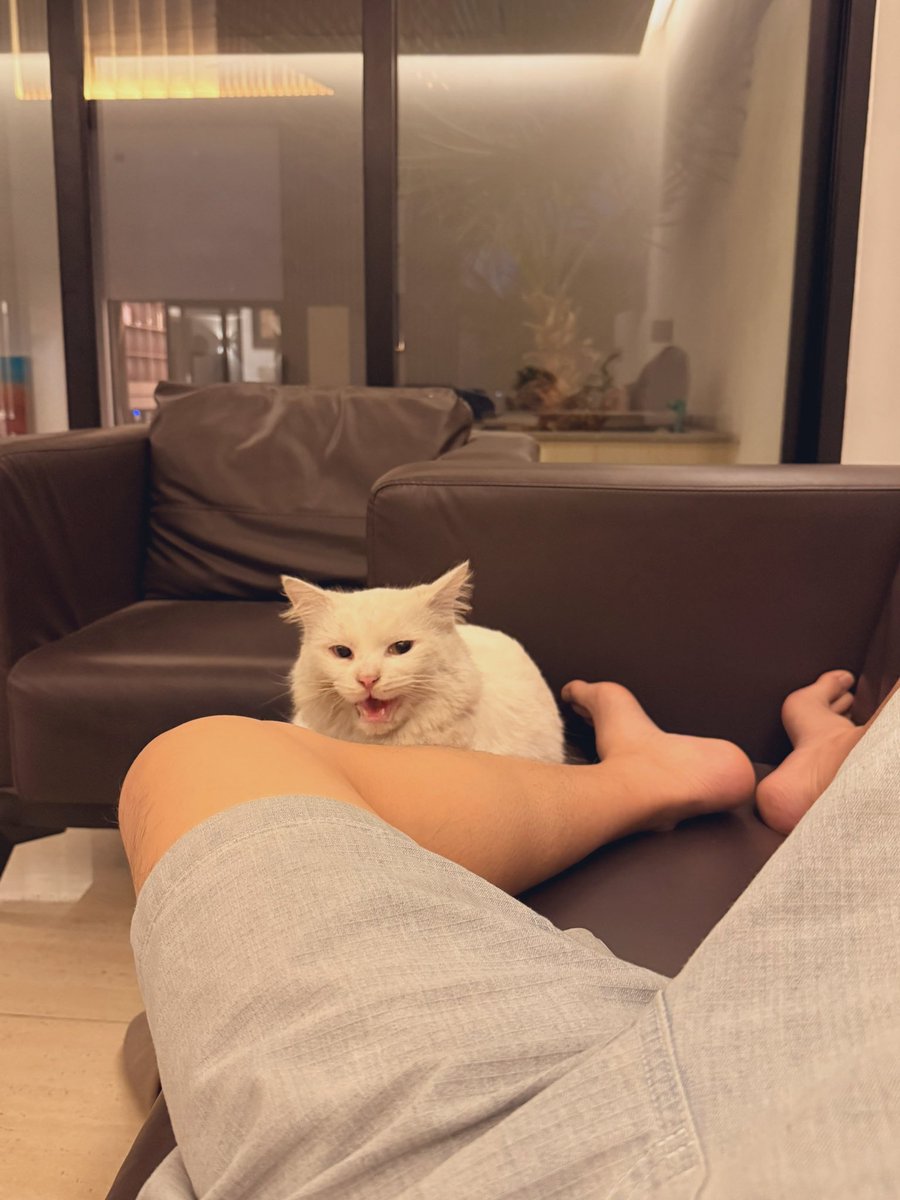 Daniel Zou (DZ) 🔶 tweet media