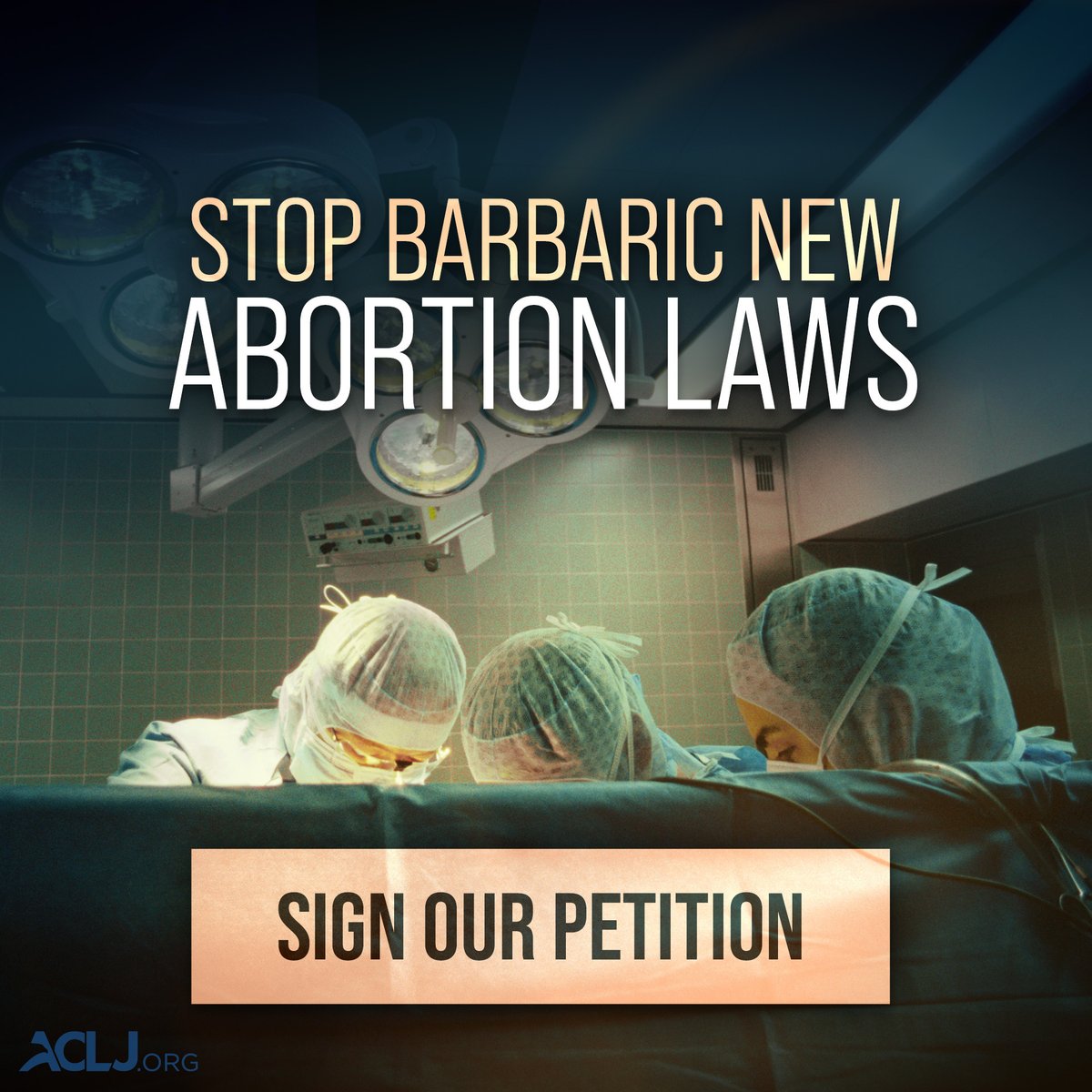 Jay Sekulow tweet media