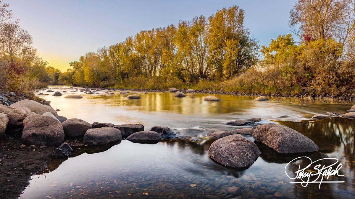 perryralph's tweet photo. QP Let's See Some 💛for #SundayYellow
"Fall On The Poudre River"
Peak color, cold morning, and a slow shutter to soften the river before the sun broke the horizon. Pre‑sunrise glow adds warmth without blowing out highlights. 1.0s, f/5.6, ISO 100 #FallColor #PoudreRiver #NoCo #Photography