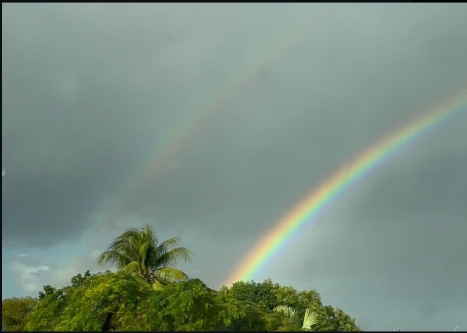 One of the most beautiful
scene i have ever seen🌻
 
Nature truly heals <3