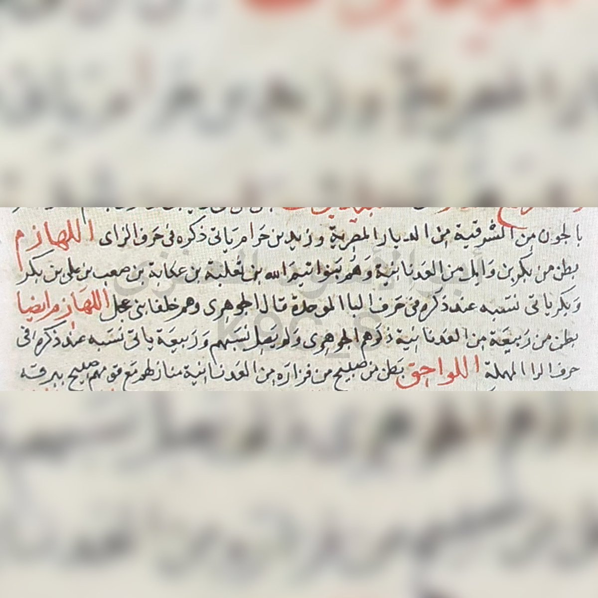 أبوالأسَود tweet media