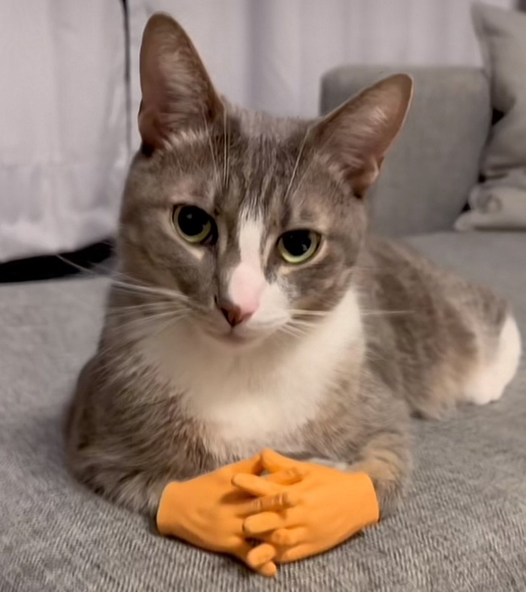 Jadi gini kawan 

Jika ww3 beneran terjadi, senang mengenal dan ngereply kalian semua 🤝