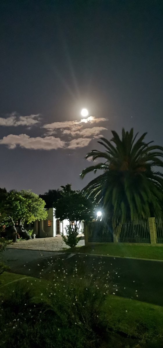 Margareth C tweet media