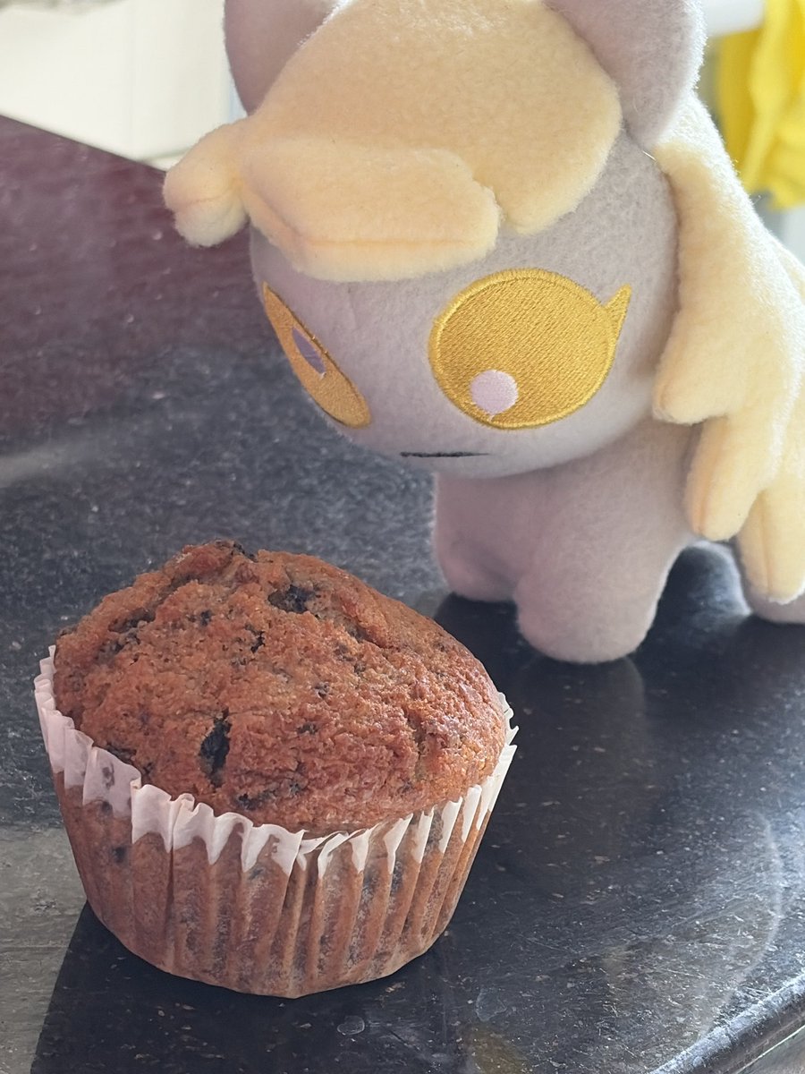 Scribbles tweet media