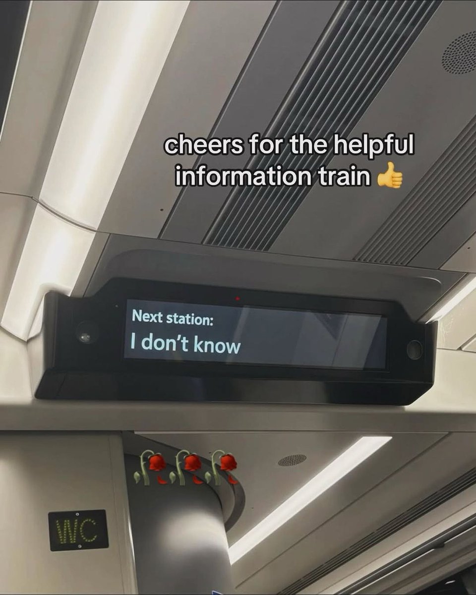 Braindead Bird App (@tragicbirdapp) on Twitter photo 