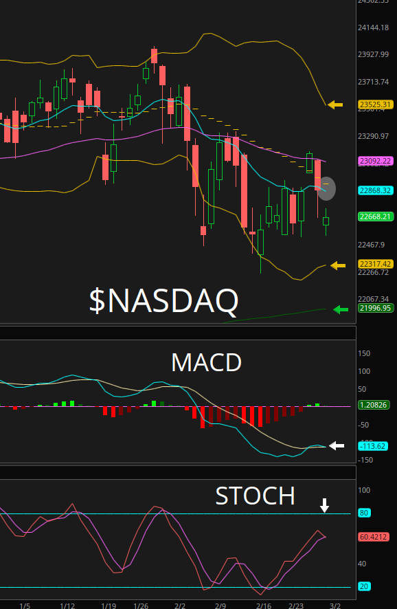 ChartingKatrina❤️🔥🎀 tweet media