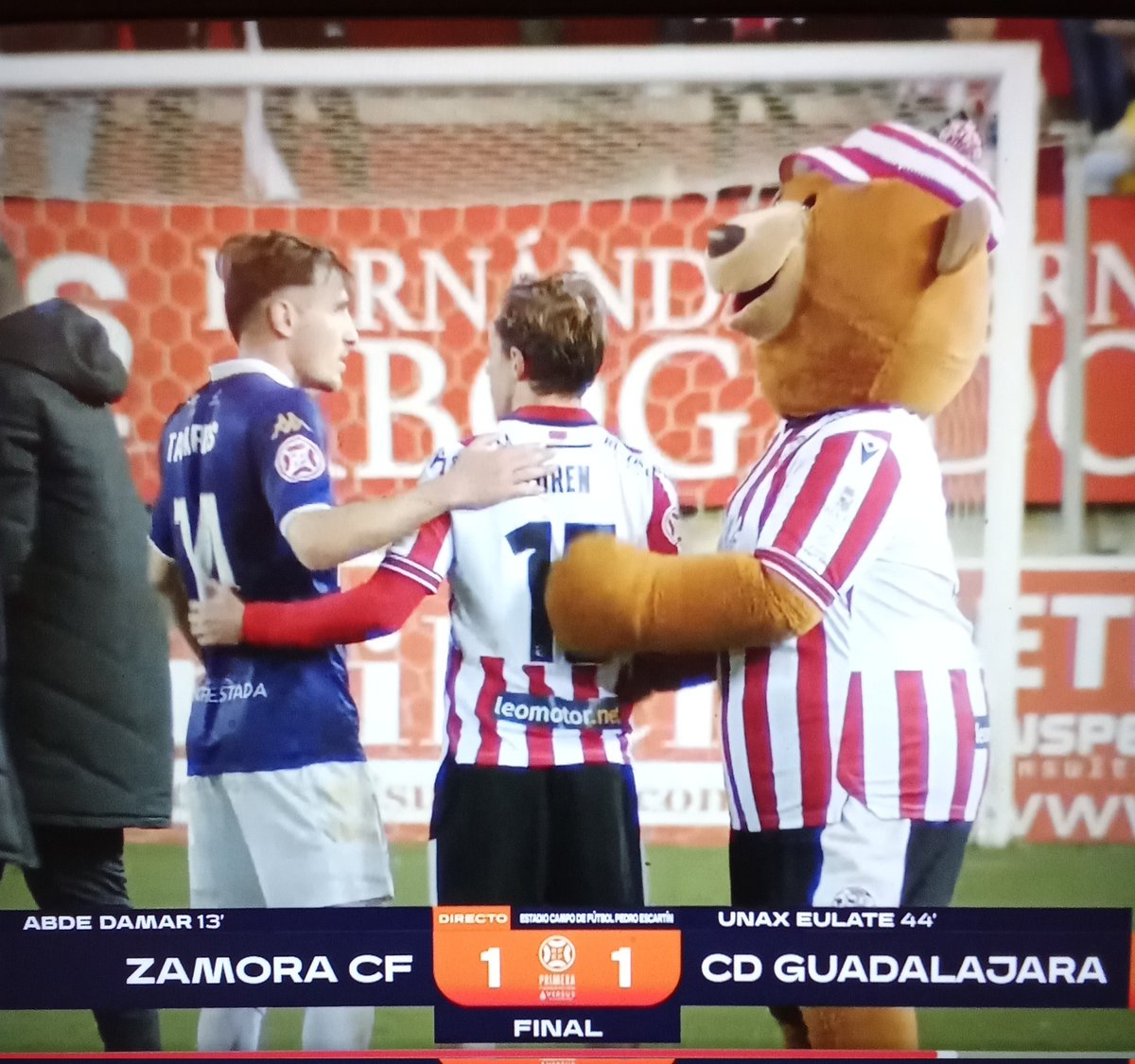 Alcarreño de Castilla tweet media