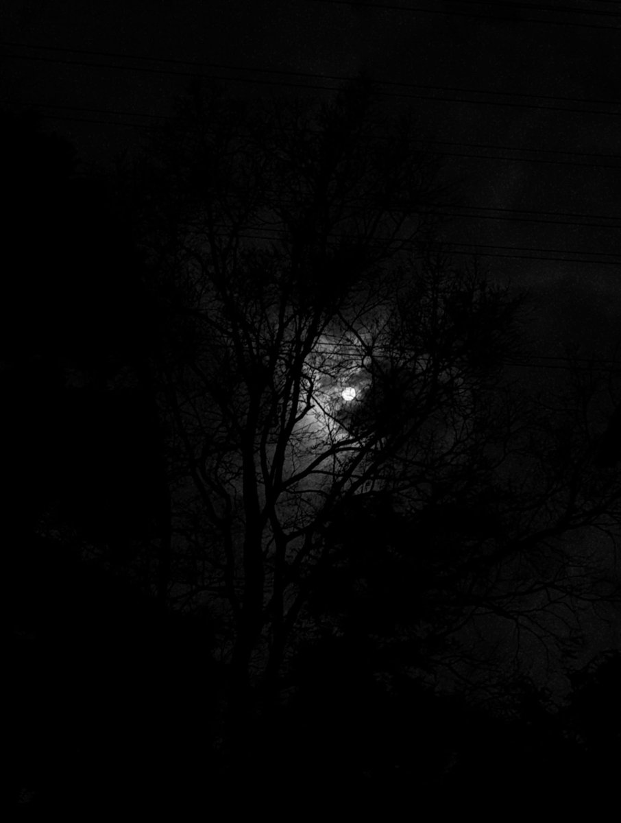 塩ｷｬﾍﾞﾂｯ tweet media