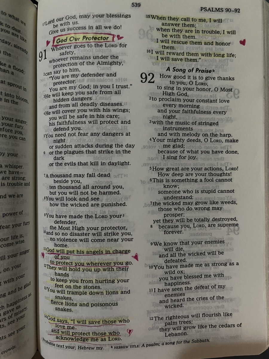 lynnarey's tweet photo. Psalm 91 😇🙏 https://t.co/knfNC2QeSB