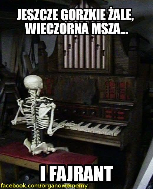 Wiejski Organista tweet media